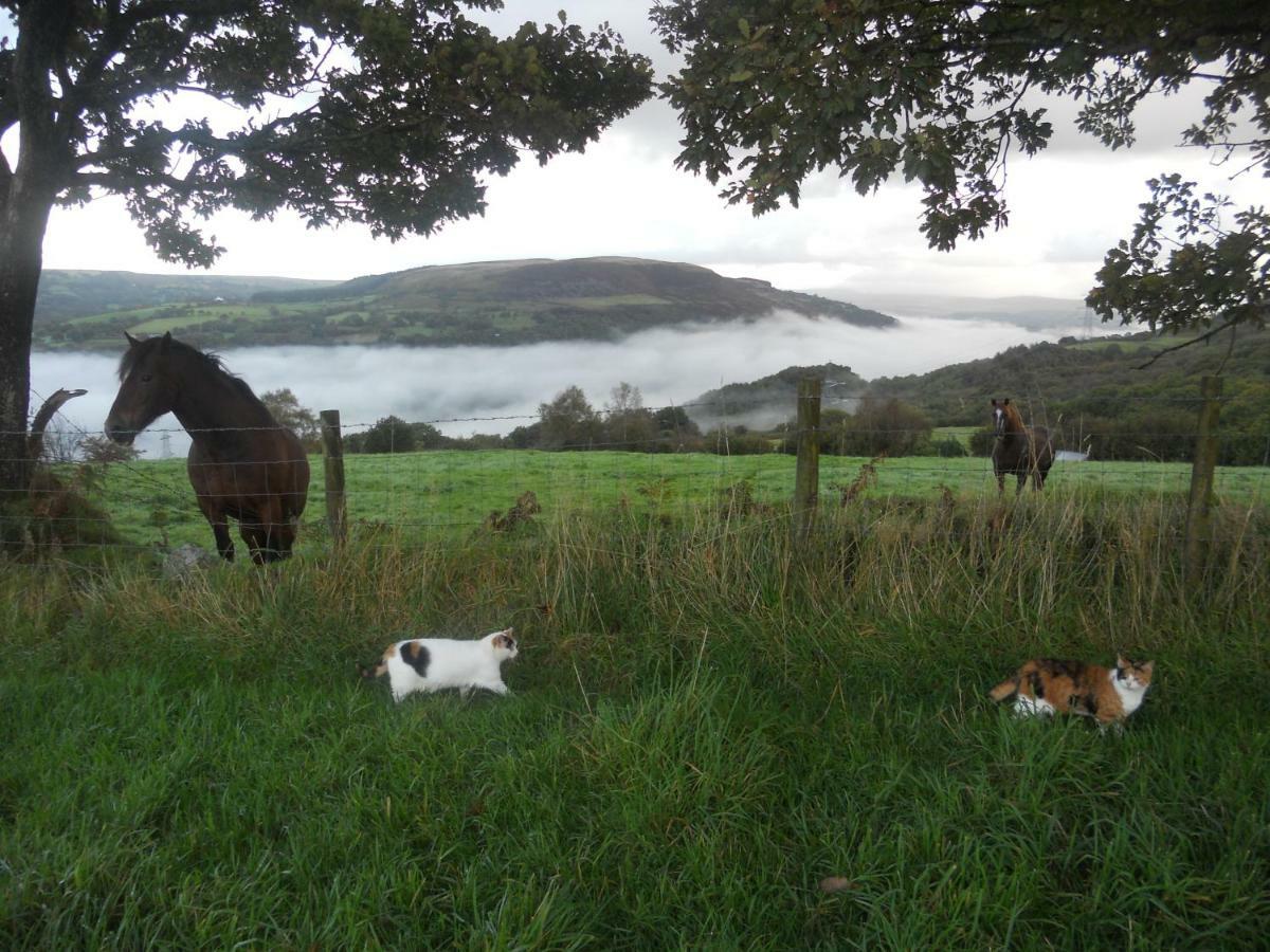 1 Tan Yr Eglwys Barn Cottage Pontardawe المظهر الخارجي الصورة