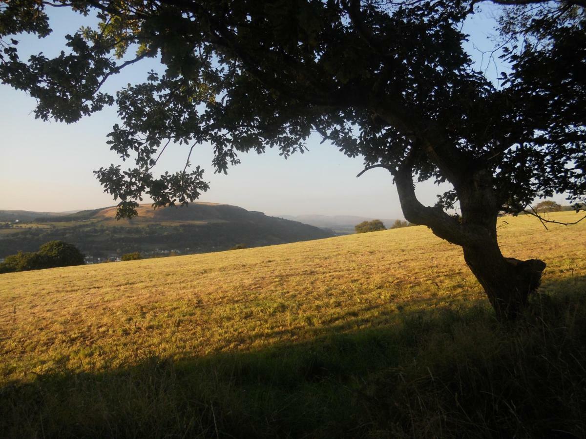 1 Tan Yr Eglwys Barn Cottage Pontardawe المظهر الخارجي الصورة